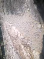 millstreet 13430.jpg